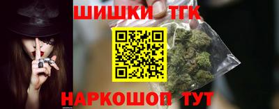 индика Лесосибирск