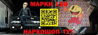 индика Лесосибирск