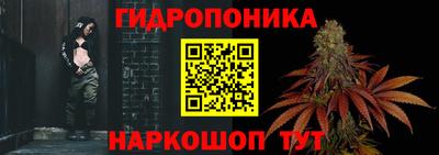 индика Лесосибирск