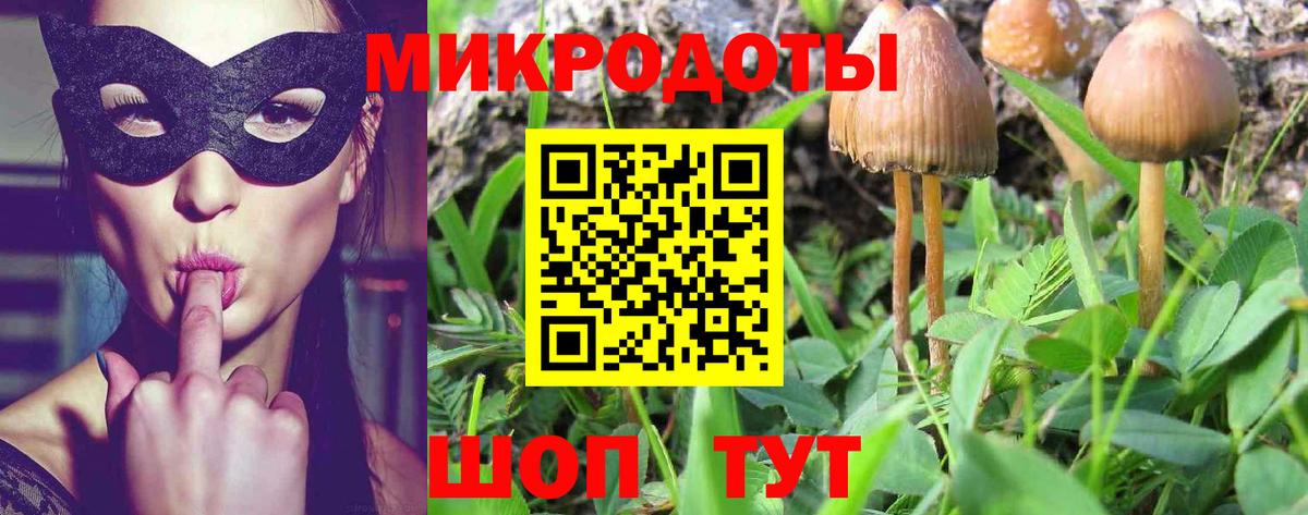 Галлюциногенные грибы ЛСД  Вход с VPN  Джанкой  Галлюциногенные грибы Psilocybine cubensis 